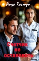 обложка книги Аида Кастро "Счетчик не остановить"