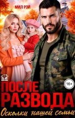 обложка книги МИЛ РЭЙ "После Развода. Осколки нашей семьи"