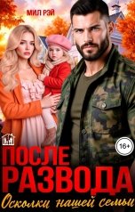 обложка книги МИЛ РЭЙ "После Развода. Осколки нашей семьи"