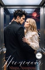 обложка книги Мира Амирова "Несмешная"