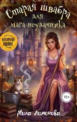 обложка книги Мила Лимонова "Старая швабра для мага-неудачника"