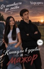обложка книги Маргарита Аланина "Каникулы в деревне и мажор"
