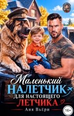 обложка книги Аня Вьёри "Маленький Налетчик для настоящего Летчика"