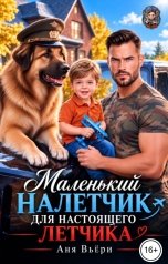 обложка книги Аня Вьёри "Маленький Налетчик для настоящего Летчика"