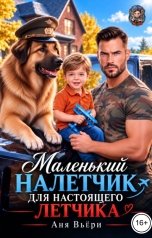 обложка книги Аня Вьёри "Маленький Налетчик для настоящего Летчика"