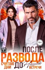 обложка книги Ася Яхонтова "После развода. Считаю дни до нашей встречи"