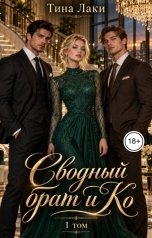 обложка книги Тина Лаки "Сводный брат и Ко"