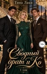 обложка книги Тина Лаки "Сводный брат и Ко"