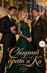 обложка книги Тина Лаки "Сводный брат и Ко 2"