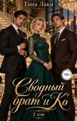 обложка книги Тина Лаки "Сводный брат и Ко 2"