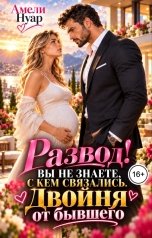 обложка книги Амели Нуар "Развод! Вы не знаете с кем связались. Двойня от бывшего"