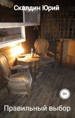 обложка книги Скалдин Юрий "Правильный выбор"