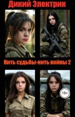 обложка книги Дикий Электрик "Нить судьбы - нить войны 2"