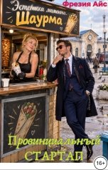 обложка книги Фрезия Айс "Провинциальный стартап"