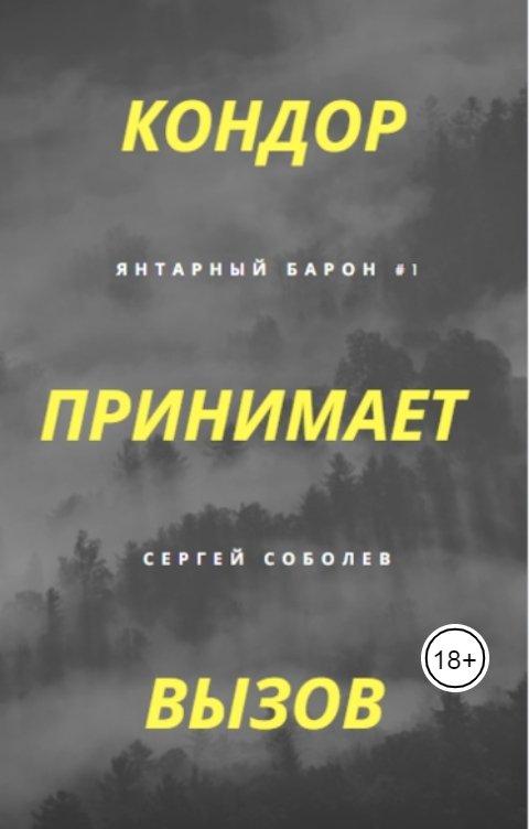 Как вызвать писателя. Книга Кондор. Кондор принимает вызов Автор книги. Книга Янтарный Барон писатель Соболев.