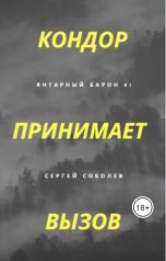 обложка книги Сергей Соболев "Кондор принимает вызов"