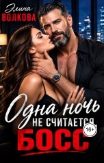 обложка книги Элина Волкова "Одна ночь не считается, босс"