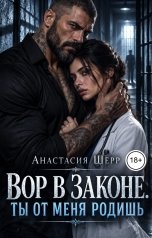 обложка книги Анастасия Шерр "Вор в законе. Ты от меня родишь"