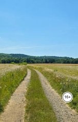 обложка книги Александр Посохов "А.Посохов "Пролетарий свободы""
