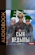 обложка книги Седых Александр, Седых Вячеслав "Сын ведьмы. Книга 1"