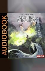 обложка книги Соломенный Илья "Хроники Книжника. Книга 3. Маг"