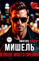 обложка книги Эмилия Шторм "Мишель. В поле моего зрения"