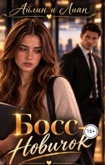 обложка книги Айлин "Босс-новичок"
