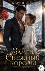 обложка книги Кария Сэл "Замри, Снежный король!"