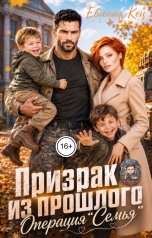 обложка книги Евгения Кец "Призрак из прошлого. Операция "Семья""
