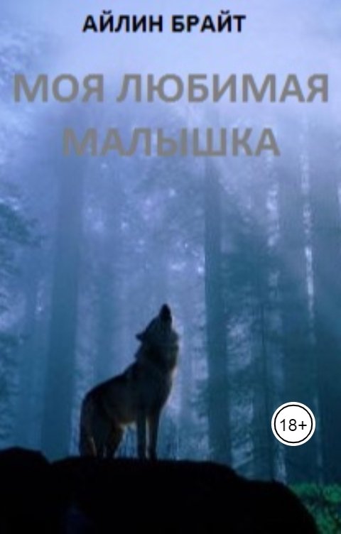 Обложка книги Айлин Брайт Моя любимая малышка