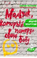 обложка книги Золотухин Андрей "Мальчик, который потерял свою бабу"