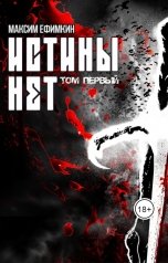 обложка книги Maxim Efimkin "Истины нет"