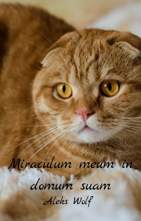 Обложка книги Aleks Wolf Мое домашнее чудо