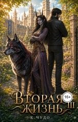 обложка книги К.Чудо "Вторая жизнь Том 3"