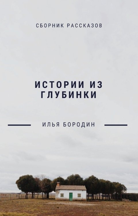 Обложка книги Илья Бородин Истории из глубинки.