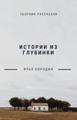 обложка книги Илья Бородин "Истории из глубинки."