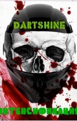 обложка книги DartShine "Интенсификация"
