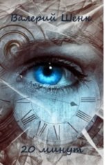 обложка книги Валерий Шенк "20 минут"