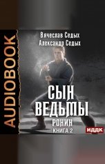 обложка книги Седых Александр, Седых Вячеслав "Сын ведьмы. Книга 2. Ронин"