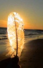 обложка книги MurenaMurrey "Нелёгкая судьба"