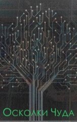 обложка книги fizmadhool "Осколки чуда"