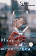 обложка книги Стас Миллионов "Мальчик в шампанском"
