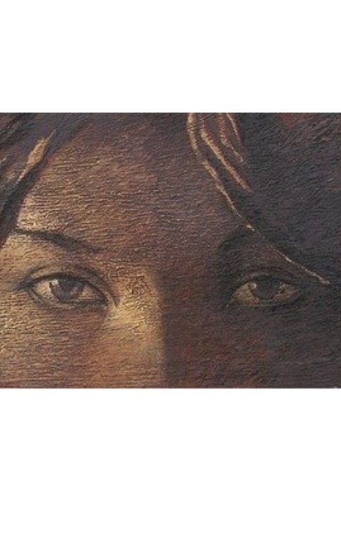 Обложка книги Карим Тугужеков Укротитель оборотней