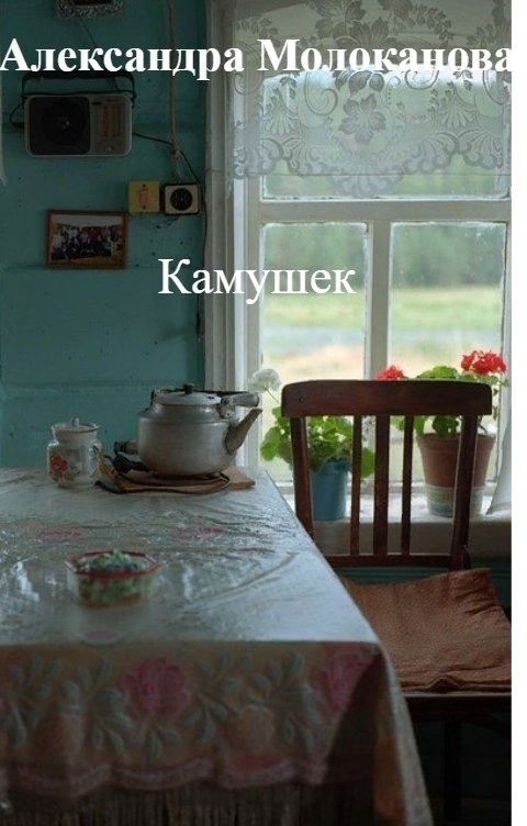 Обложка книги Александра Молоканова Камушек