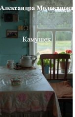 обложка книги Александра Молоканова "Камушек"
