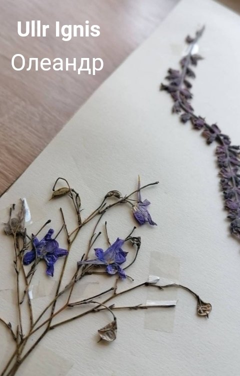 Обложка книги Ullr Ignis Олеандр