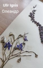 обложка книги Ullr Ignis "Олеандр"