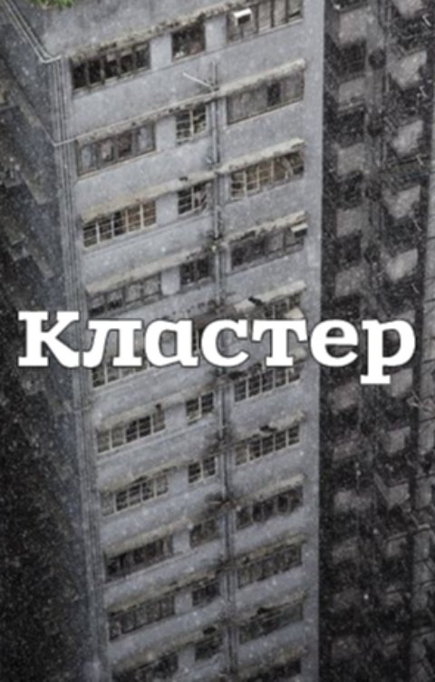 Обложка книги Виктор Киселев Кластер