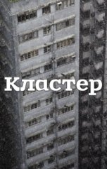 обложка книги Виктор Киселев "Кластер"