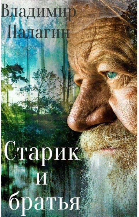 Обложка книги Владимир Палагин Старик и братья